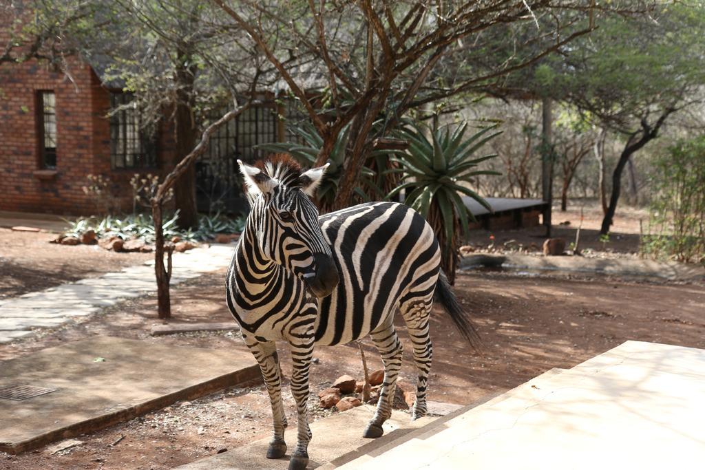 Villa Zazu Marloth Park Luaran gambar