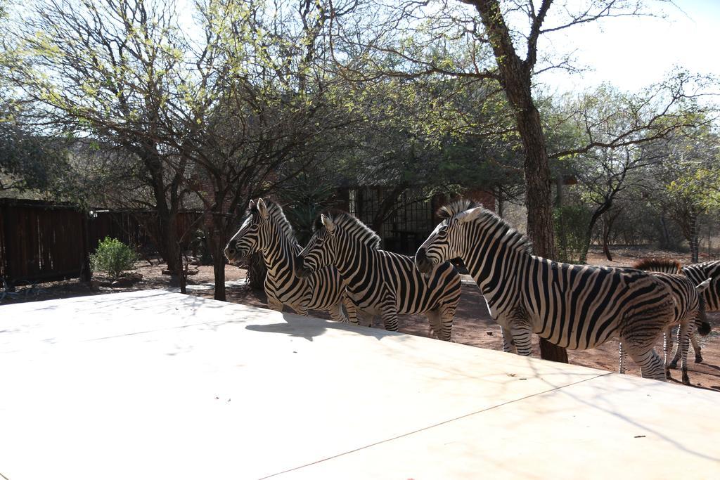 Villa Zazu Marloth Park Luaran gambar